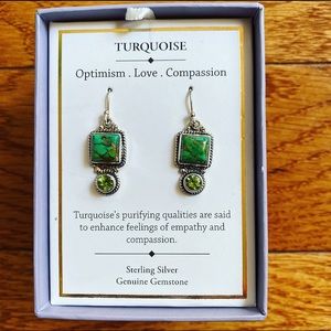 Apple-Green Turquoise Sterling Silver Earrings